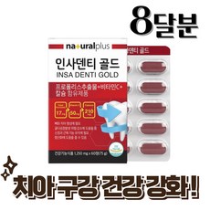 치아 잇몸 건강 잇니플러스 프리미엄 프로폴리스