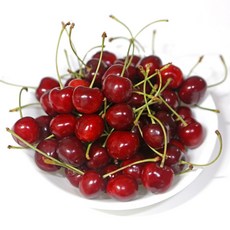 고당도 워싱턴 빙체리 500g 미국산 점보 생체리 cherries cherry 48H Delivery, 1개