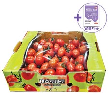 코스트코 미니 대추토마토 2.2kg [아이스박스포장] + 사은품, 1박스