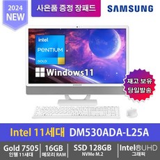 삼성전자 올인원PC DM530ADA-L25A, 128GB, 선택안함, 16GB