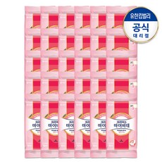 마이비데거치대