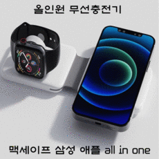 애플정품맥세이프충전기