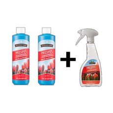 프리스팟인스턴트