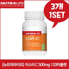 이스터어쿠스틱