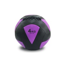 프로모릭스 파워 웨이트볼 4kg, 1개