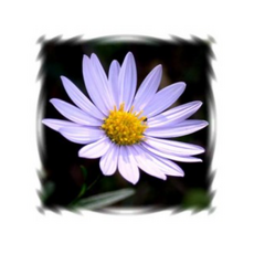 6ea5af5c0c60135229804193b7f1b3e35d4562e27eb690684e56af8eefa4.png