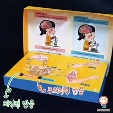 생명실험키트