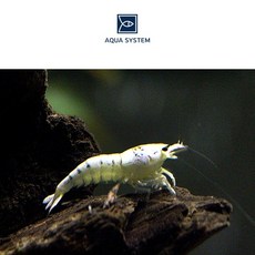8407c4abd6eb5775bb6cb67b30c6b3de8d25727a27e3d74b52e1826f5057.jpg
