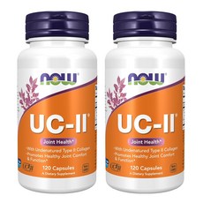 나우푸드 UC-II 캡슐