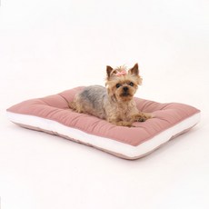 두유레디 강아지 방석 일체형 누빔 탄탄한 켄넬 XS, 01.라이트베이지, 1개