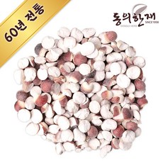 가시연꽃