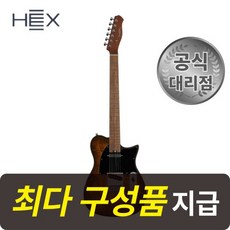 텔레케스터기타