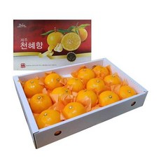 제주 천혜향 선물세트 2.5kg 대과 (부직포 포장), 없음, 1개