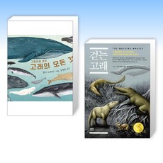 걷는고래