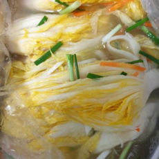 정가네백김치
