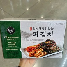 올반파김치