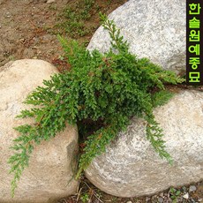 d37290a1af982d5f5cd8045a04a0c622febc386b5d6bfeaa87487c00c3da.jpg