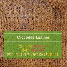금색레자악어무늬