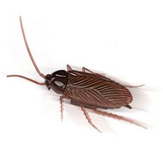 움직이는곤충