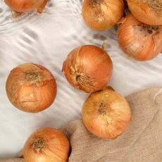 신안수산 국내산 무안 24년 햇양파 5kg 10kg 산지직송, 1개, 대5kg