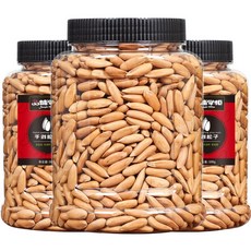 껍질 벌린 까먹는 잣 큰 알 햇잣 500g 솔방울 견과류 파인넛 중국 수입 잦