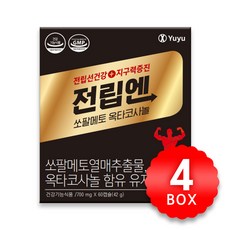 유유제약 전립엔 쏘팔메토 옥타코사놀 700mg x 60캡슐 x 4박스, 4개, 60정