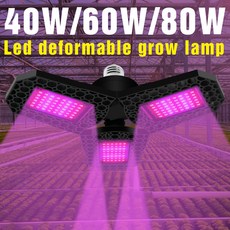 a9a83a539787bfd8de8c9a72e227a25f5e26940614face13d11a064577c0.png