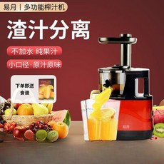 가정용 주스 메이커 야채주스 과일주스 제조기 듀얼 홀로 깔끔한 원액기 녹즙기 즙짜는 기계, A. 소형+과즙 잔류물 분리