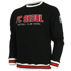 fc서울