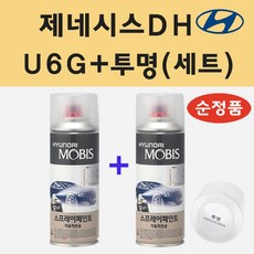 순정품 현대 제네시스DH U6G 어반그레이 스프레이 페인트 + 투명스프레이