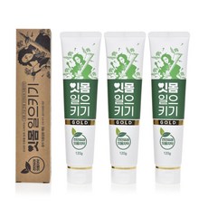 잇몸건강 잇몸케어 전용 잇몸치약 잇몸일으키기치약 120g 3개/5개, 잇몸치약3개, 3개