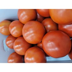 장보남대추방울토마토