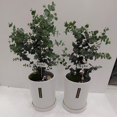 493050ea0df96941970f47e003e2263147ae045076c5243cb317ee9dd521.jpg