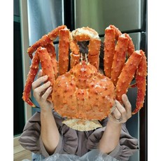 최상급 러시아 프리미엄 레드킹크랩(살수율 90% 이상), 1개, 4.3kg
