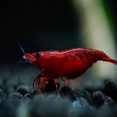 0a72fa96a1cc8f16bdebc7640f5f46219390a8a0b0ee4b95cbd8a5059c38.jpg
