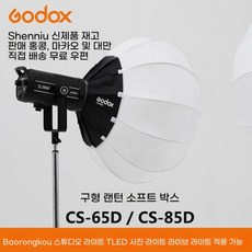 고독스 GODOX SL60W 마운트 화이트 사진 Godox SL60II 라이트, 1개, CS-85D