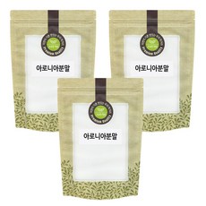 아로니아 분말 가루 300g x 3팩 (총900g) 국산 국내산