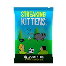 익스플로딩 키튼 보드 게임 영문판 영어 버전 카드 폭탄 폭발 고양이