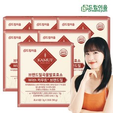 드림이음 역가수치 100만 프리미엄 카무트 효소 브랜드밀 곡류 발효 효소 카무트 호라산밀, 6박스, 90g