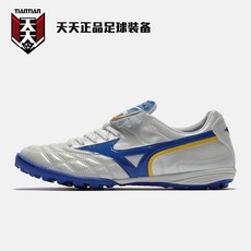 모렐리아웨이브