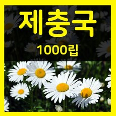 8월파종꽃씨앗