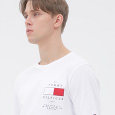 t42c1hsh230bt2
