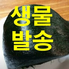 강진 찰매생이 소포장 개당100g 기본포장개당 3500g 3재기 5재기 10재기, 350g(3재기), 1개