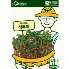 아시아종묘 새싹씨앗종자 적무싹 (1kg) 새싹채소 적무순이, 선택완료, 단품없음