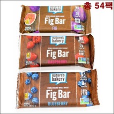 네이처푸드블루베리