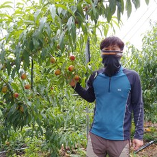 신비복숭아2kg-추천-상품