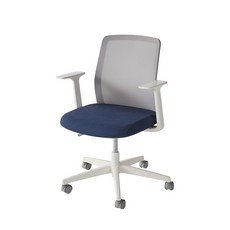까사미아콘테체어