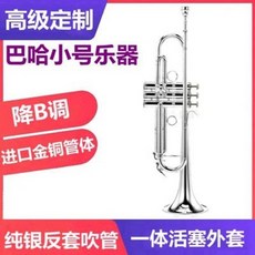 바하트럼펫수입