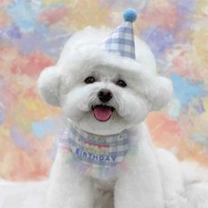 알파벳샵 강아지 고양이 생일 파티 고깔 세트 * 2개, 1세트, 블루