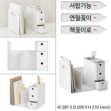 카리스2단교구장